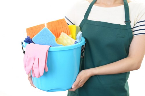 Inclusive Wandsworth Cleaners accessibility statement and review notice