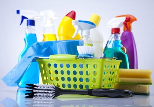 Professional cleaners introducing Wandsworth cleaning services in a home environment
