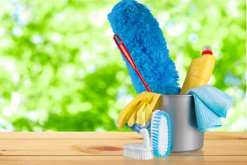 Professional cleaners in Wandsworth working in a modern home