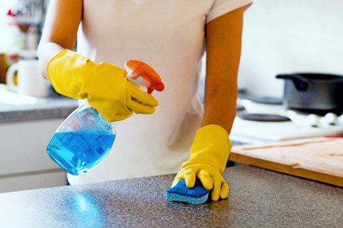 Upholstery stain removal and deep cleaning for sofas in Wandsworth