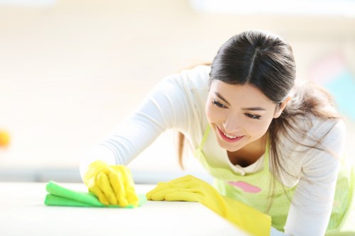 Kitchen cleaning service in a Wandsworth property