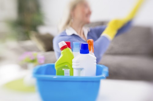 Cleaning supplies ready for domestic cleaning in Wandsworth