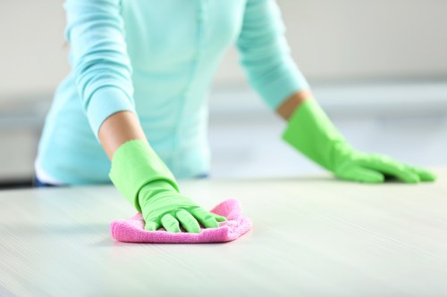 Final legal terms and governing law section for cleaning services