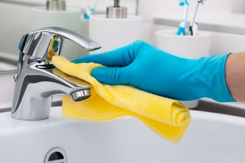 Eco-friendly home cleaning in a Wandsworth apartment